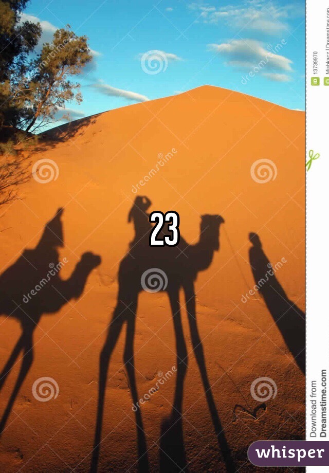 23