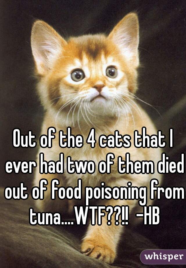 Out of the 4 cats that I ever had two of them died out of food poisoning from tuna....WTF??!!  -HB