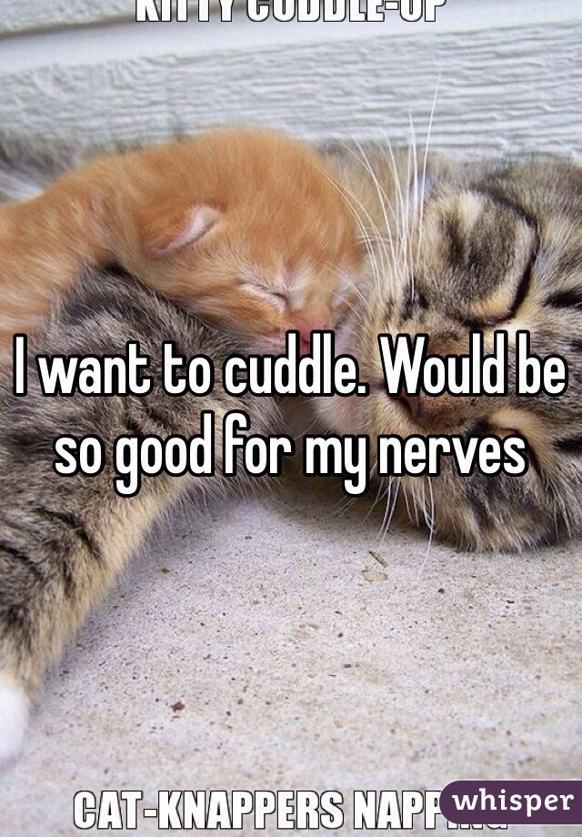 I want to cuddle. Would be so good for my nerves