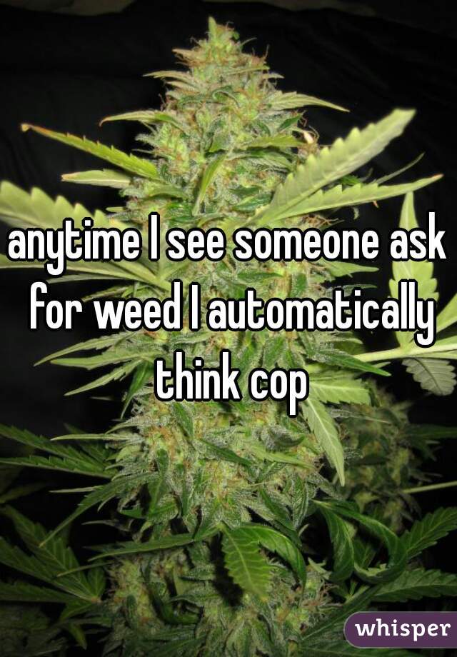 anytime I see someone ask for weed I automatically think cop