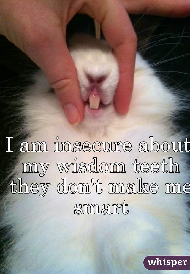 I am insecure about my wisdom teeth they don't make me smart