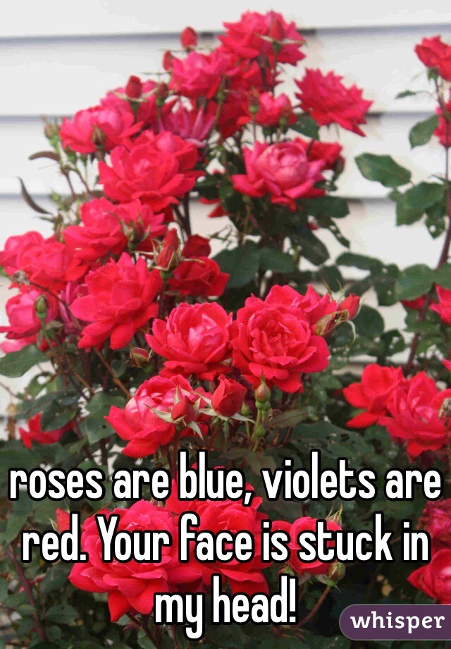 roses are blue, violets are red. Your face is stuck in my head!