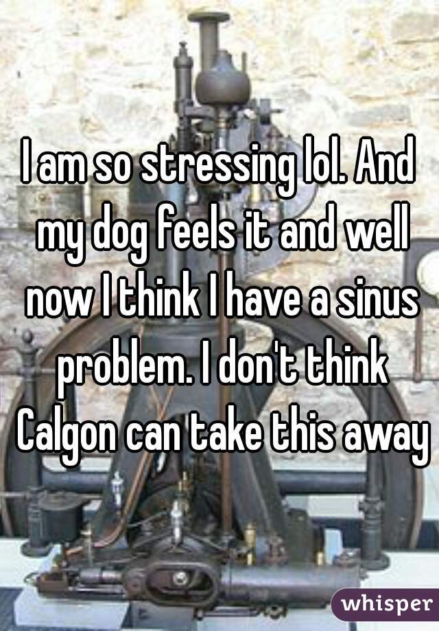 I am so stressing lol. And my dog feels it and well now I think I have a sinus problem. I don't think Calgon can take this away