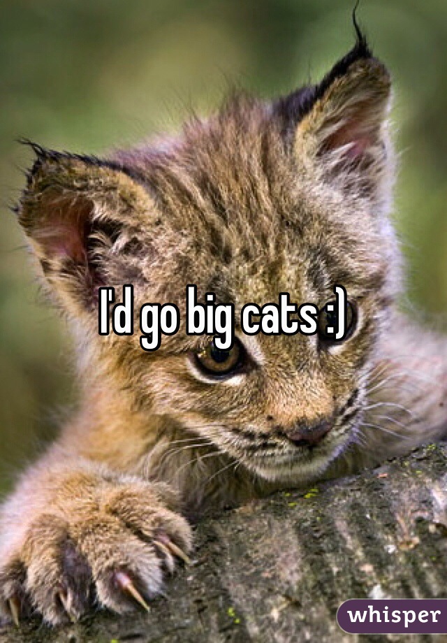 I'd go big cats :)