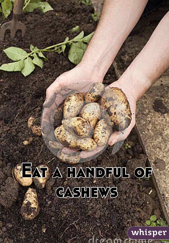 Eat a handful of cashews 