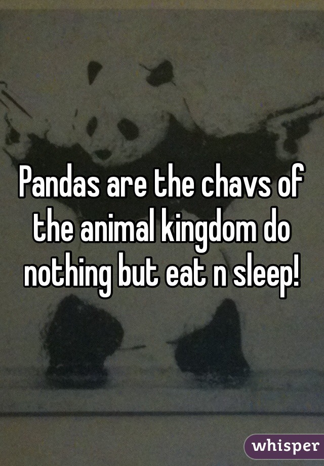 Pandas are the chavs of the animal kingdom do nothing but eat n sleep!