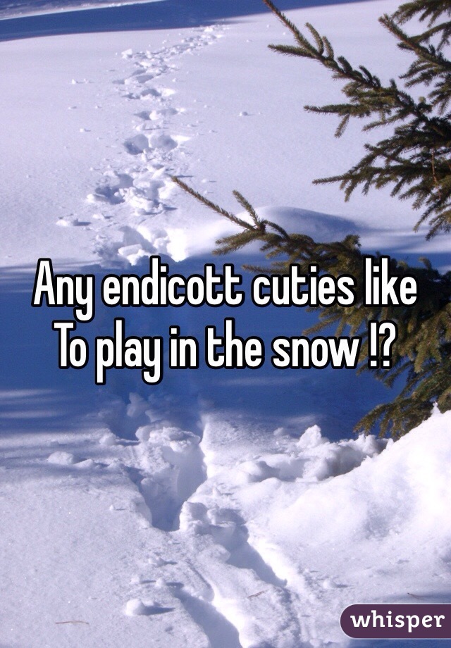 Any endicott cuties like
To play in the snow !?