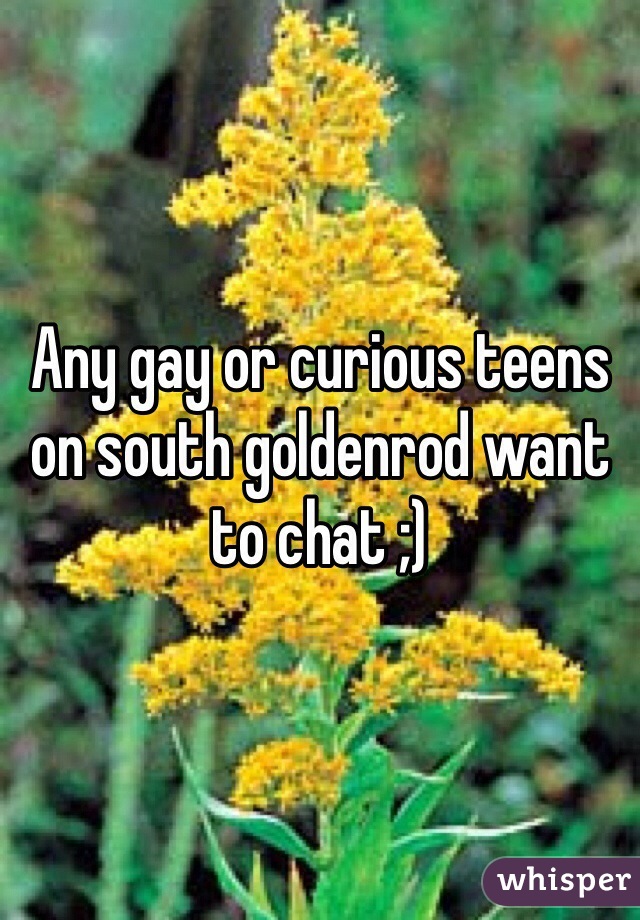 Any gay or curious teens on south goldenrod want to chat ;)