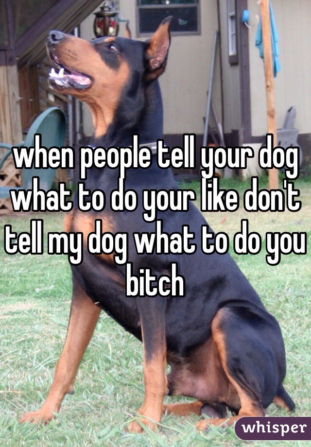 when people tell your dog what to do your like don't tell my dog what to do you bitch