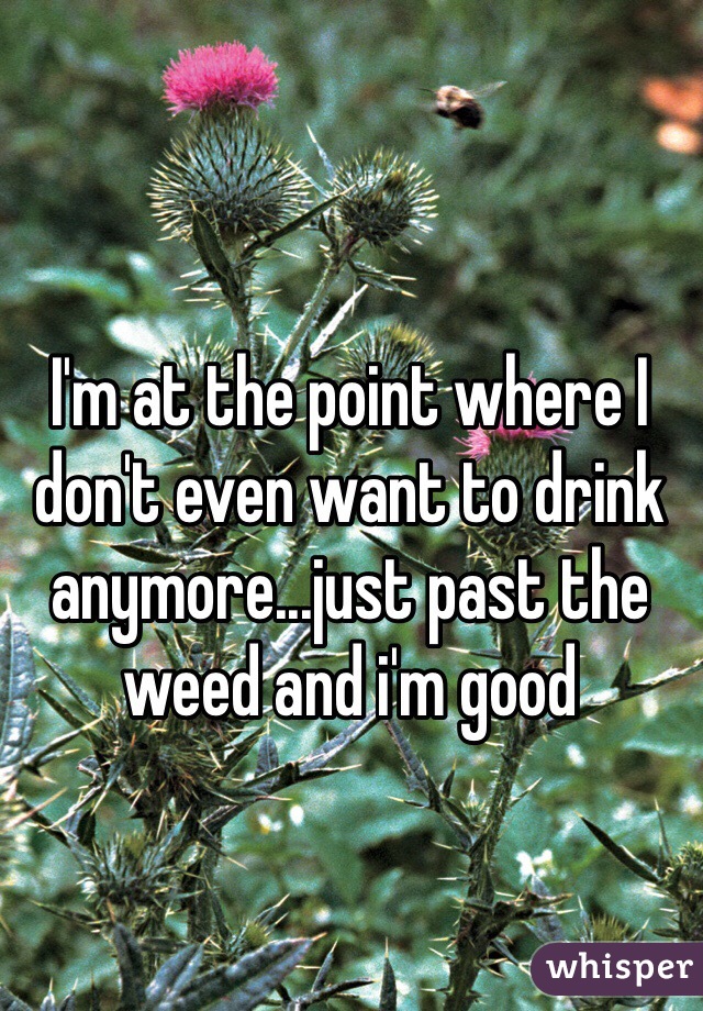 I'm at the point where I don't even want to drink anymore...just past the weed and i'm good 