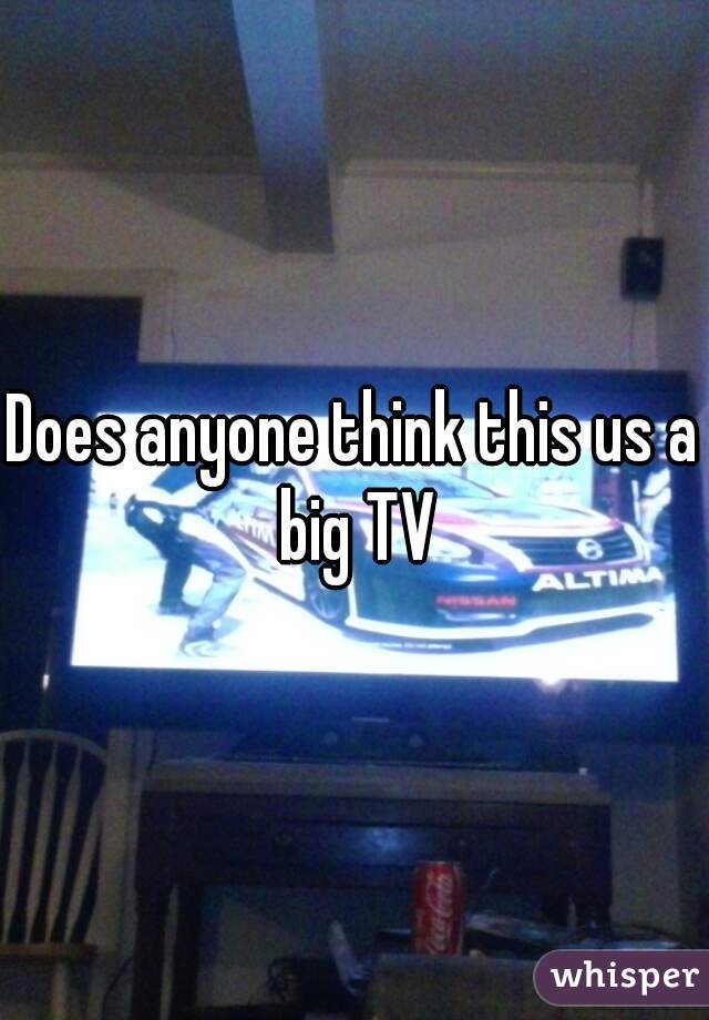 Does anyone think this us a big TV