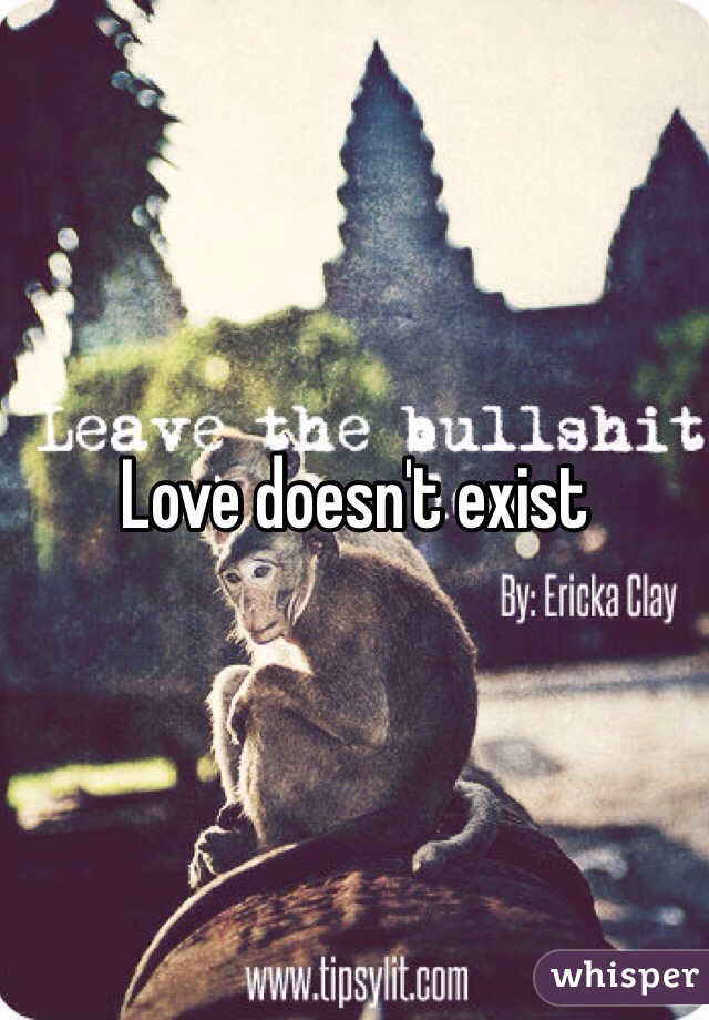 Love doesn't exist 