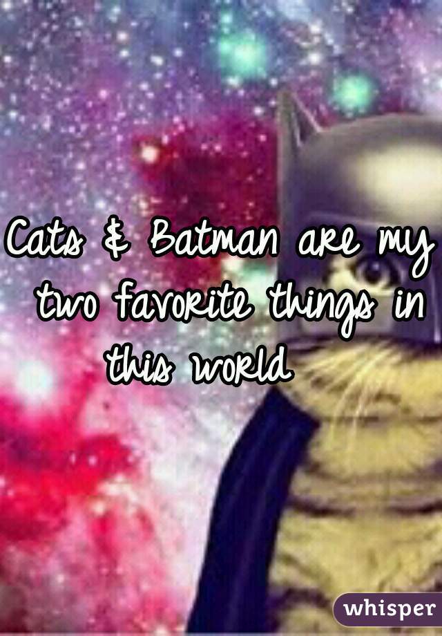 Cats & Batman are my two favorite things in this world   