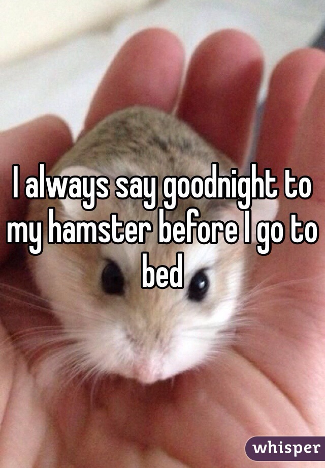 I always say goodnight to my hamster before I go to bed 