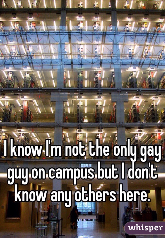 I know I'm not the only gay guy on campus but I don't know any others here. 