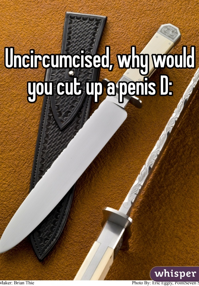 Uncircumcised, why would you cut up a penis D: