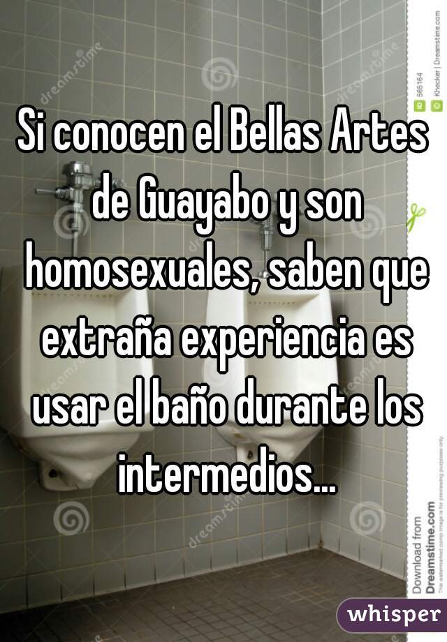 Si conocen el Bellas Artes de Guayabo y son homosexuales, saben que extraña experiencia es usar el baño durante los intermedios...