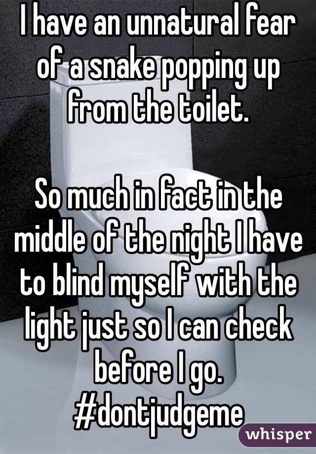 I have an unnatural fear of a snake popping up from the toilet.

So much in fact in the middle of the night I have to blind myself with the light just so I can check before I go. 
#dontjudgeme