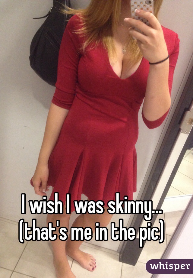 I wish I was skinny...(that's me in the pic)