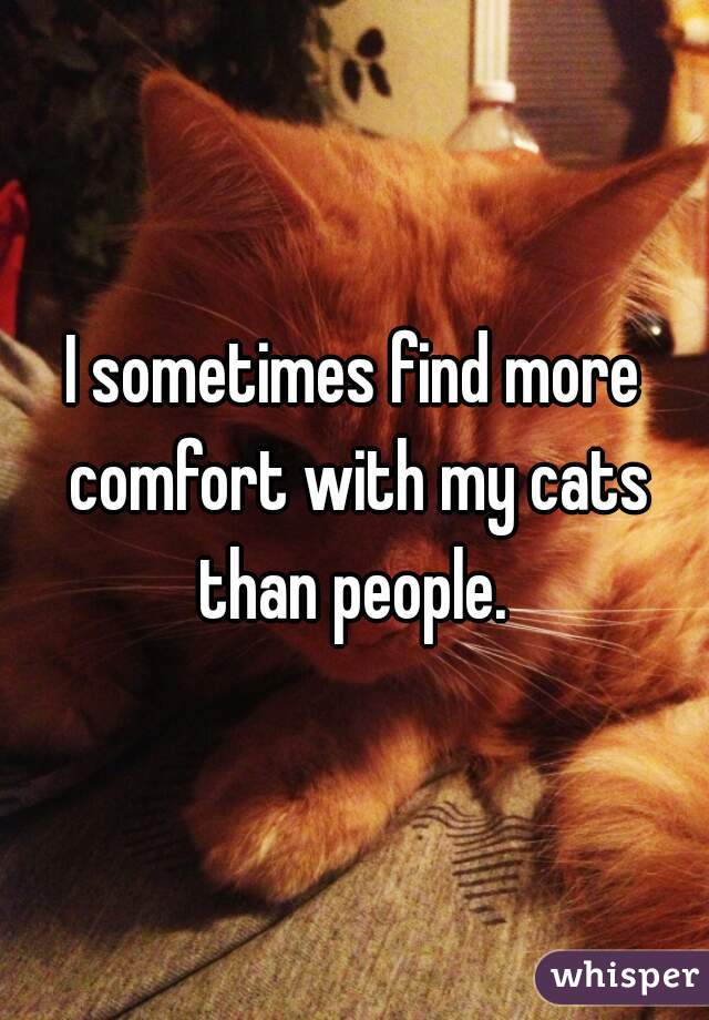 I sometimes find more comfort with my cats than people. 