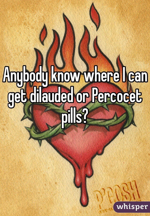 Anybody know where I can get dilauded or Percocet pills?