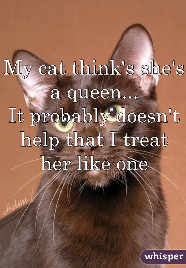 My cat think's she's a queen...
It probably doesn't help that I treat her like one