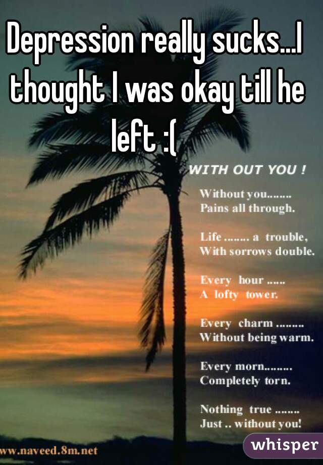 Depression really sucks...I thought I was okay till he left :(    