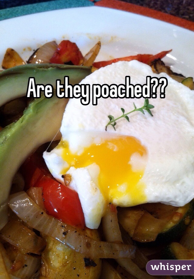 Are they poached??