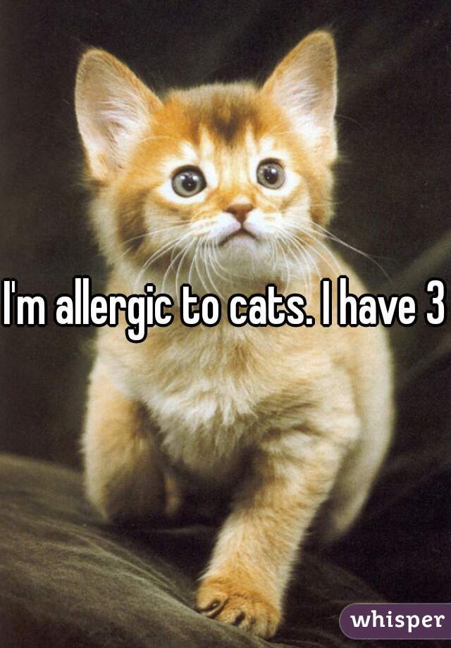 I'm allergic to cats. I have 3.