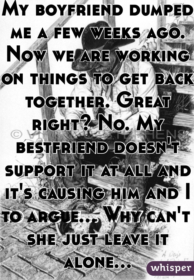 My boyfriend dumped me a few weeks ago. Now we are working on things to get back together. Great right? No. My bestfriend doesn't support it at all and it's causing him and I to argue... Why can't she just leave it alone...