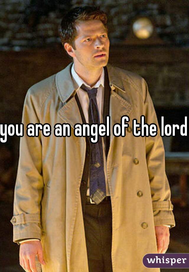 you are an angel of the lord 