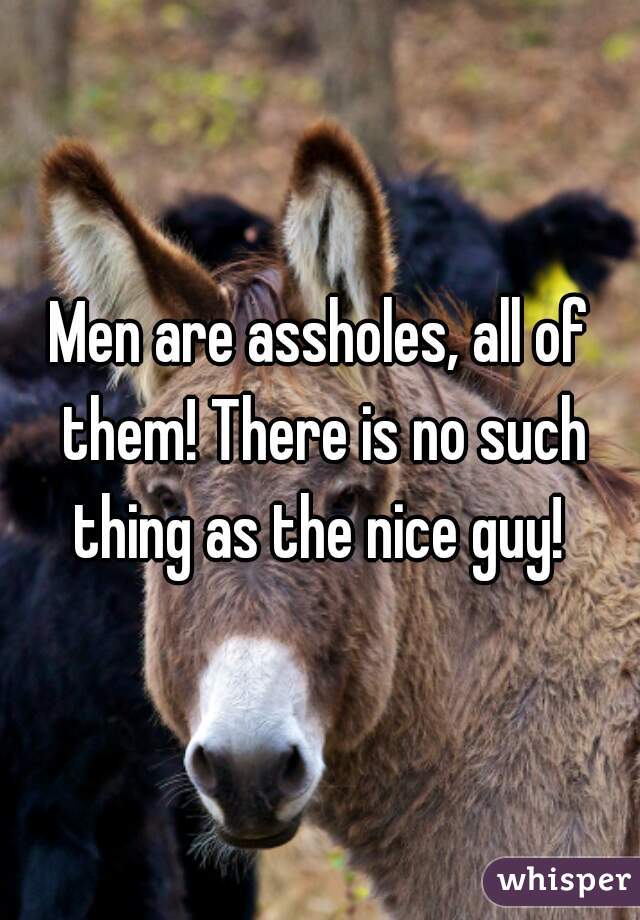 Men are assholes, all of them! There is no such thing as the nice guy! 