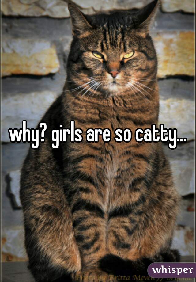 why? girls are so catty...