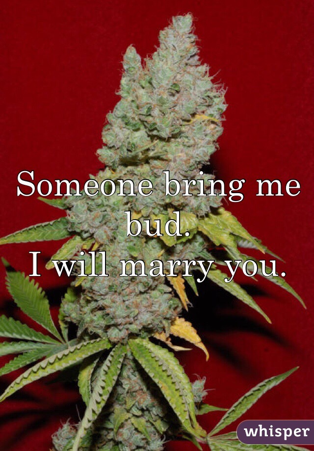 Someone bring me bud. 
I will marry you.