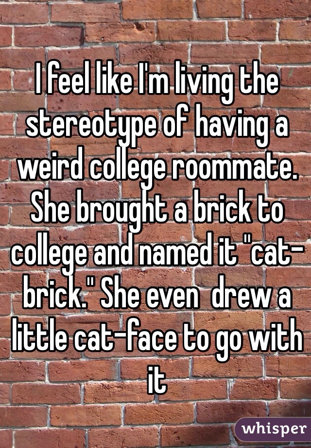 I feel like I'm living the stereotype of having a weird college roommate. She brought a brick to college and named it "cat-brick." She even  drew a little cat-face to go with it