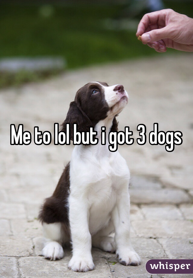 Me to lol but i got 3 dogs