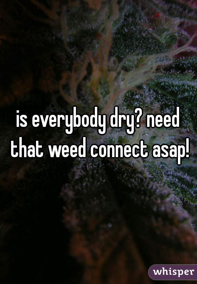 is everybody dry? need that weed connect asap!