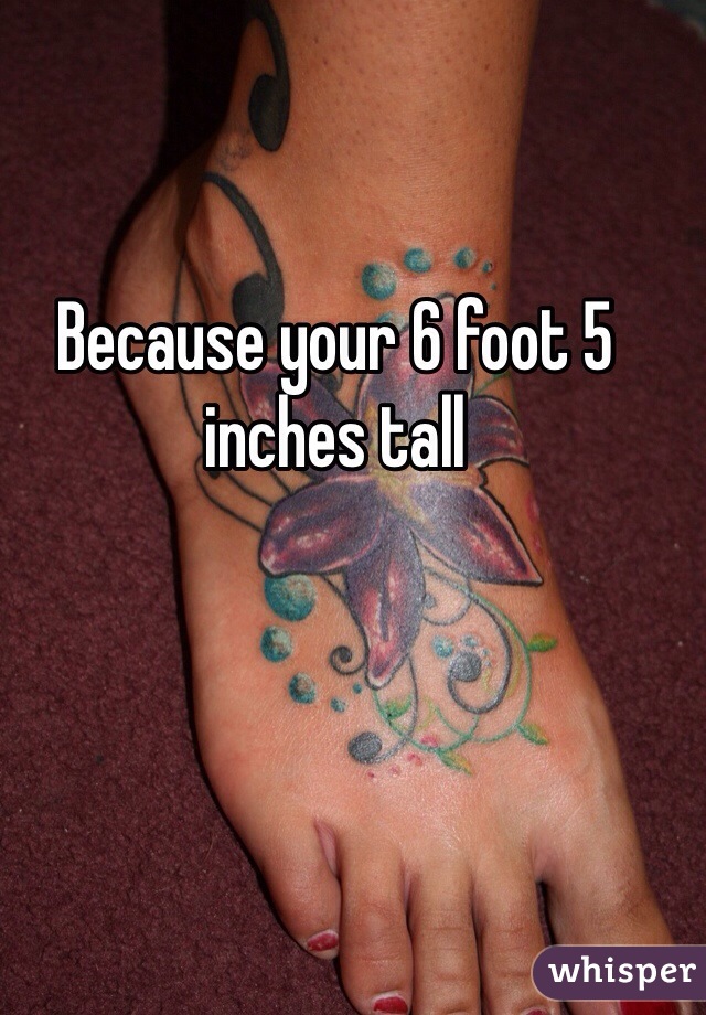 Because your 6 foot 5 inches tall