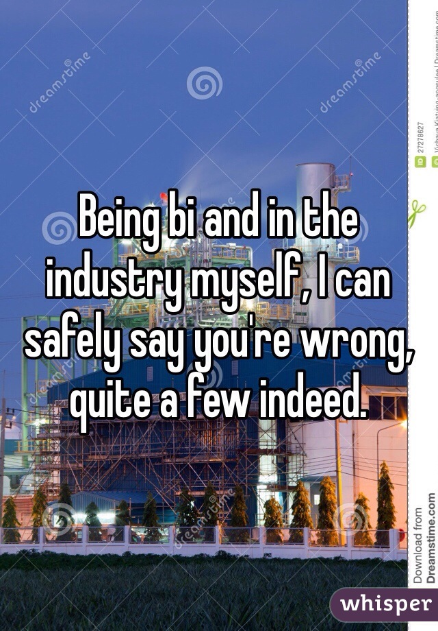 Being bi and in the industry myself, I can safely say you're wrong, quite a few indeed. 