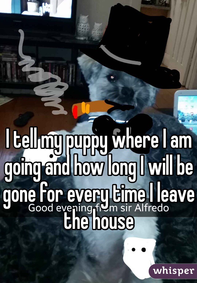 I tell my puppy where I am going and how long I will be gone for every time I leave the house