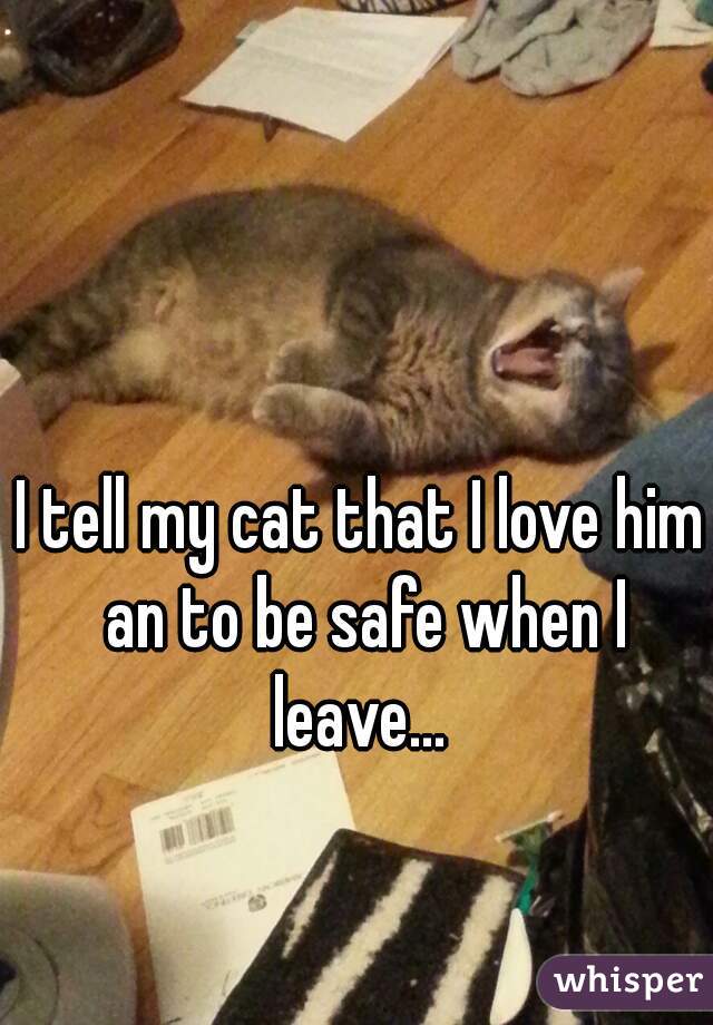 I tell my cat that I love him an to be safe when I leave... 