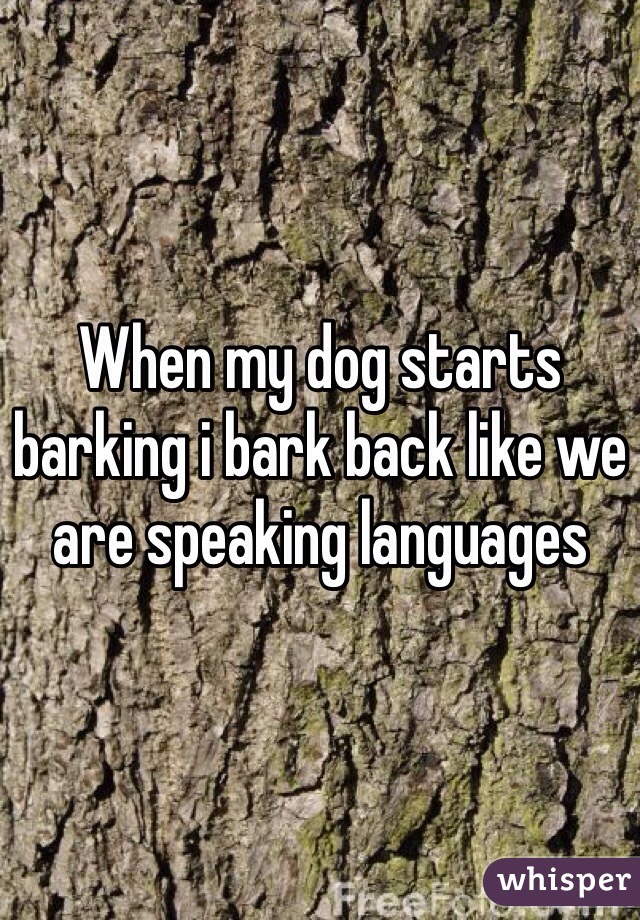 When my dog starts barking i bark back like we are speaking languages