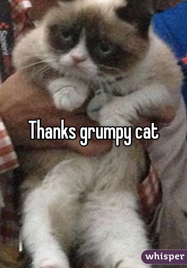 Thanks grumpy cat