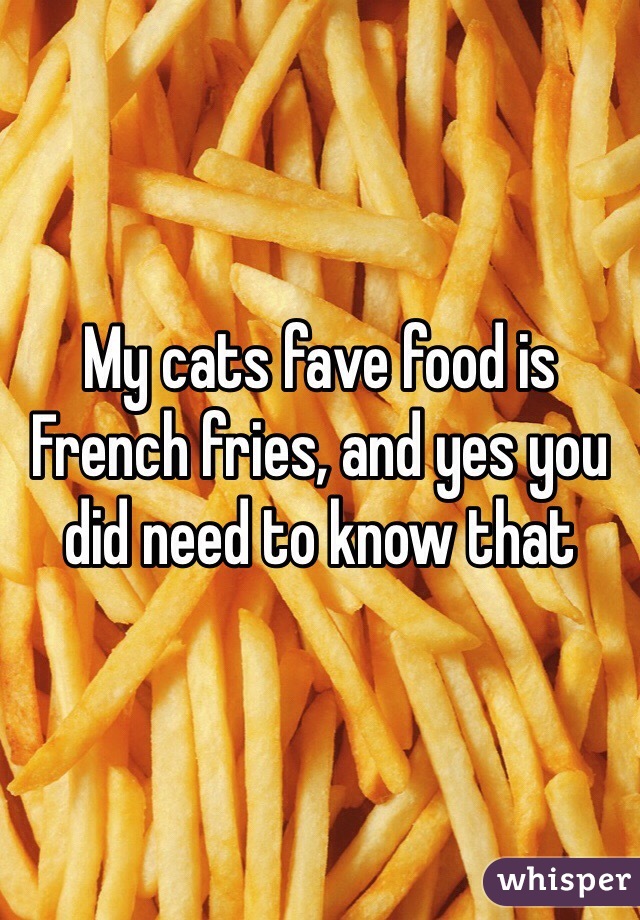 My cats fave food is French fries, and yes you did need to know that