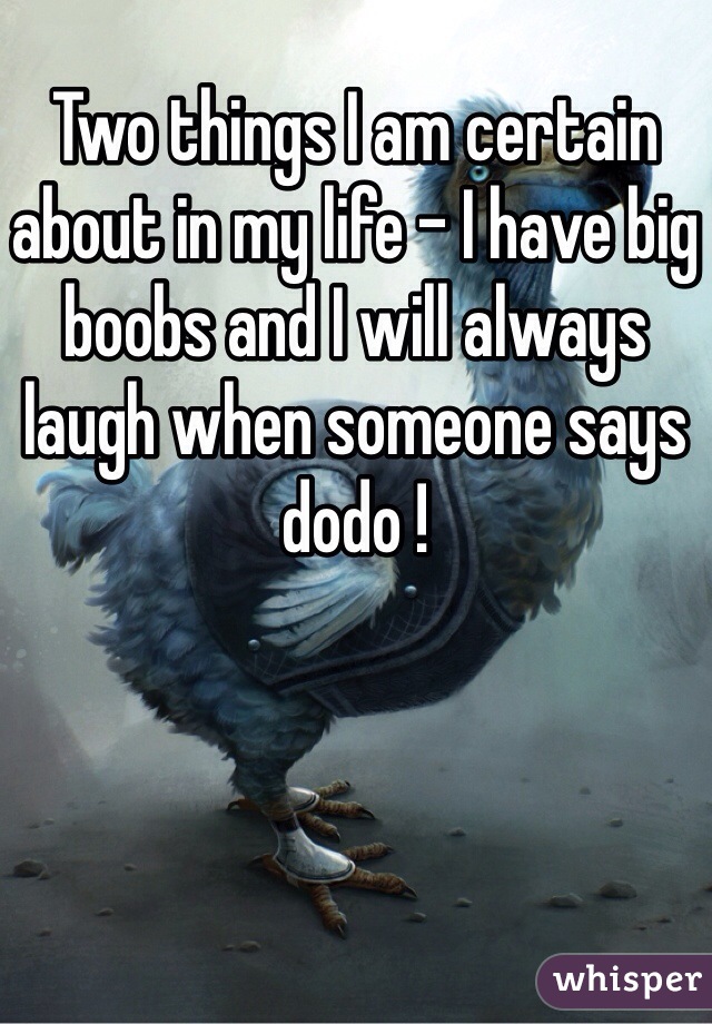 Two things I am certain about in my life - I have big boobs and I will always laugh when someone says dodo ! 