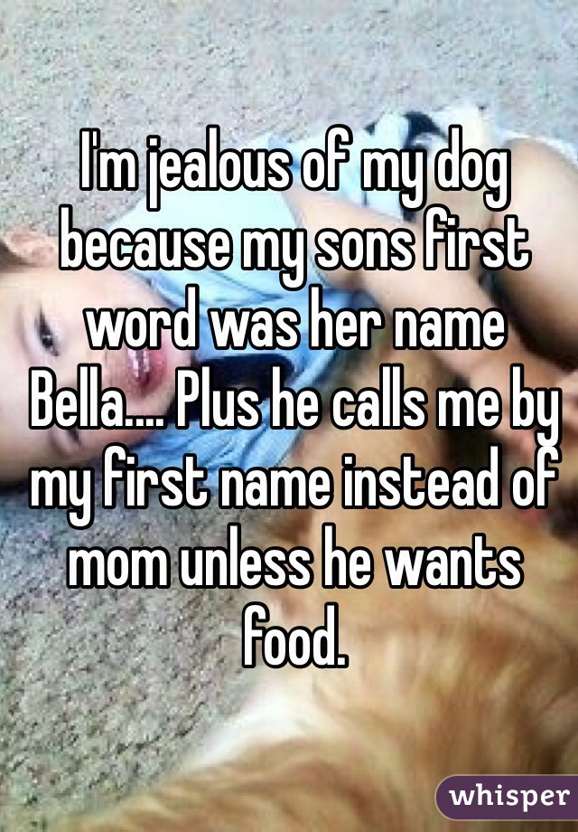 I'm jealous of my dog because my sons first word was her name Bella.... Plus he calls me by my first name instead of mom unless he wants food. 