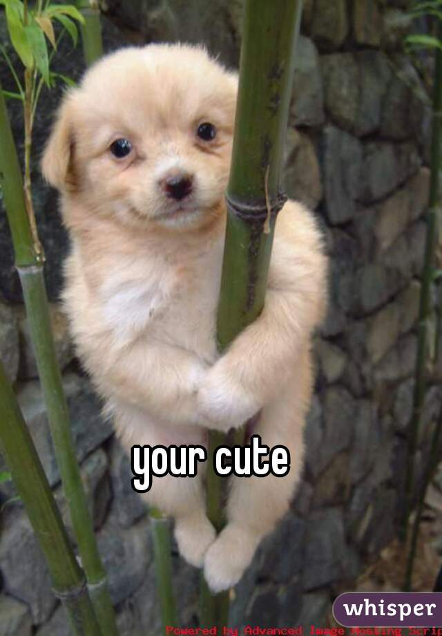 your cute