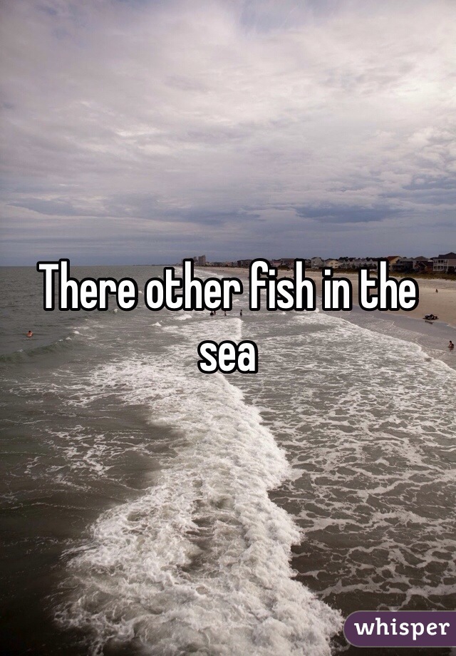 There other fish in the sea