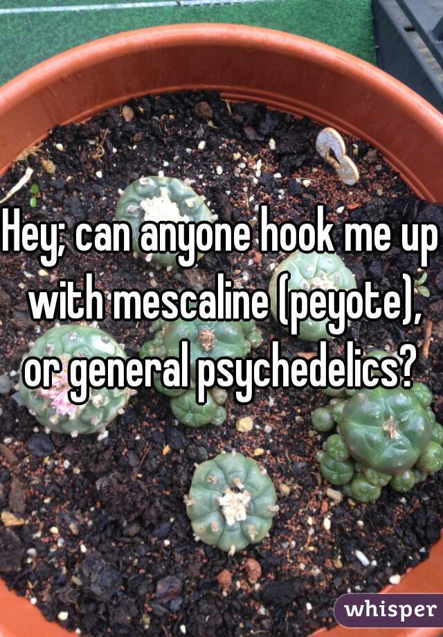 Hey; can anyone hook me up with mescaline (peyote), or general psychedelics? 