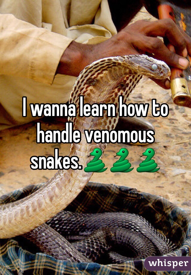 I wanna learn how to handle venomous snakes.🐍🐍🐍